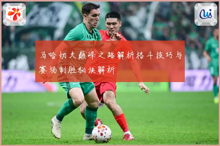 马哈切夫巅峰之路解析格斗技巧与赛场制胜秘诀解析