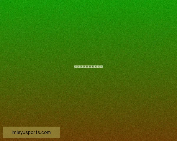 乐鱼体育全程解析欧洲杯精彩赛事与最新战报